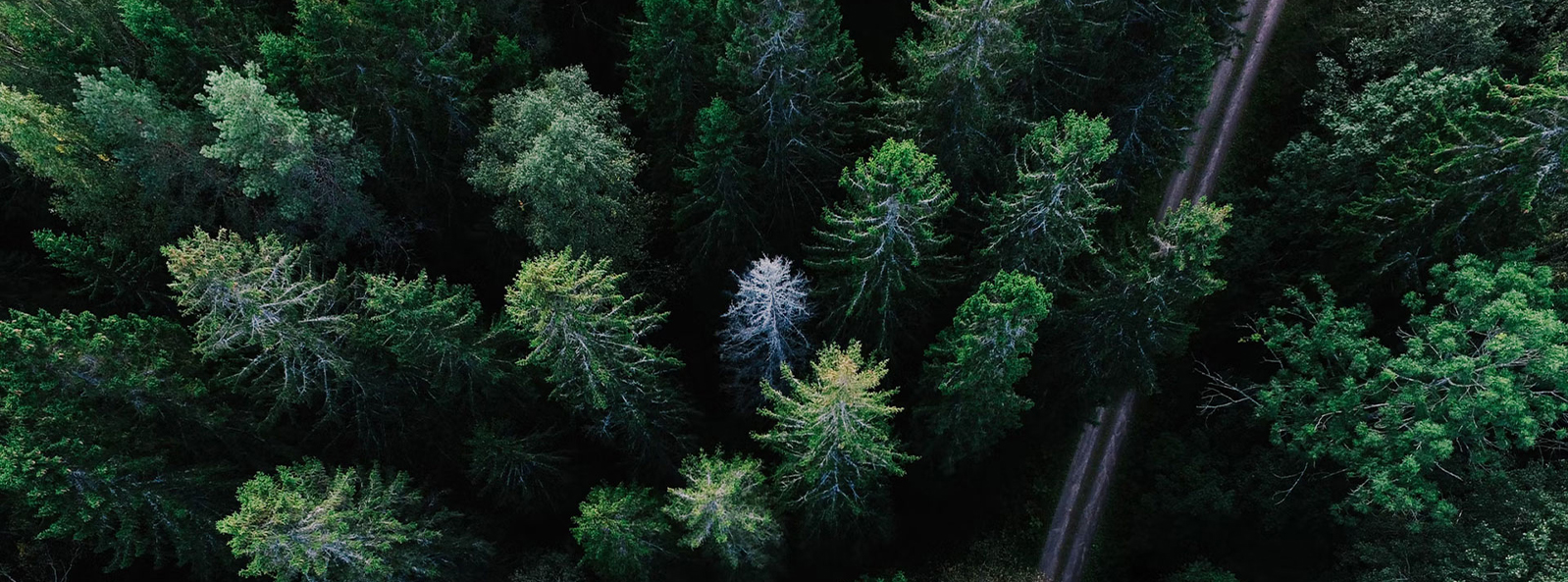জিয়াংসু জিয়াংই টেক্সটাইল টেকনোলজি (গ্রুপ) কোং, লি.